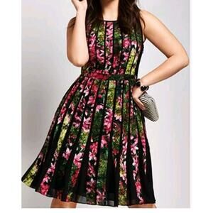 Adrianna Papell Black & Pink with Floral Chiffon Texture Sleeveless Dress Size 2